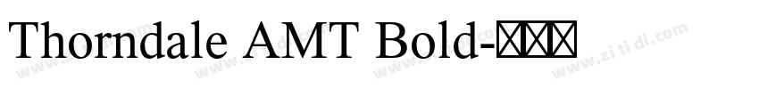 Thorndale AMT Bold字体转换